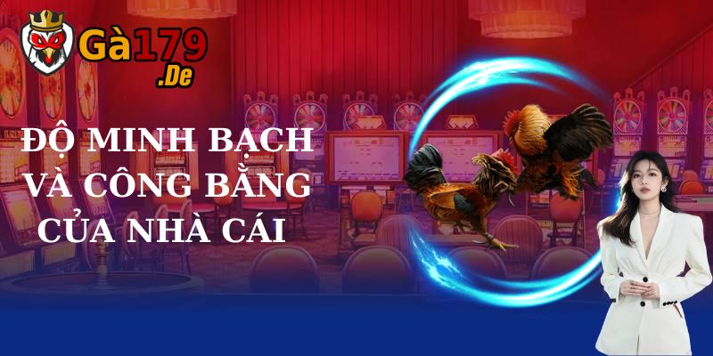 do-minh-bach-va-cong-bang-cua-nha-cai